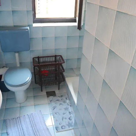 Apartment Branko