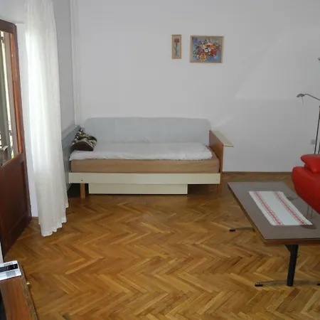 Apartment Branko